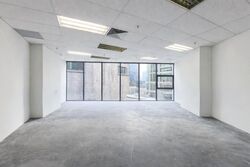 PLUS (D1), Office #517923861